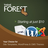 Theme Forest